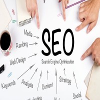 Build your Business with Best Seo company in noida